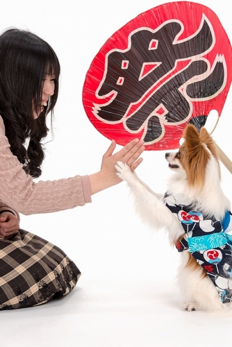 「もう毎日が祭りなのさ」ママとハイタッチ