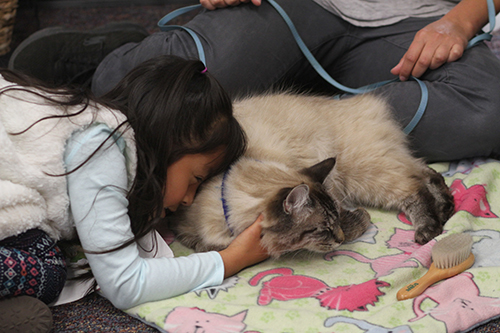 読み終わったあとは、タイにほおずり