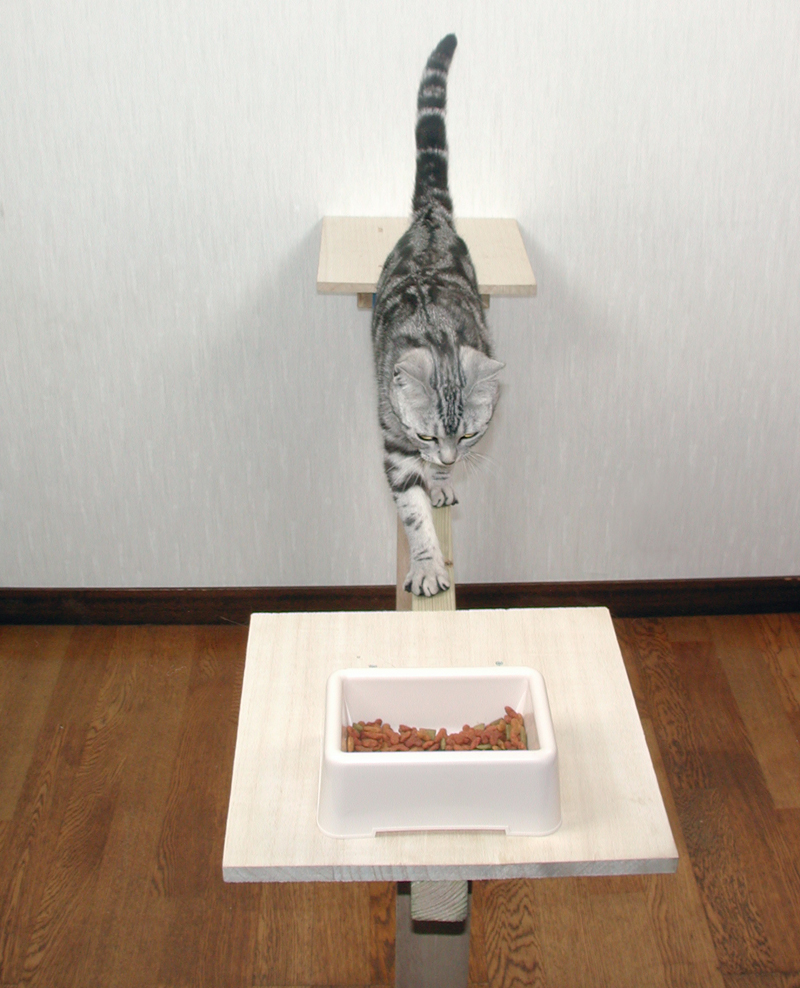 「なぜ？の図鑑」学研プラス提供