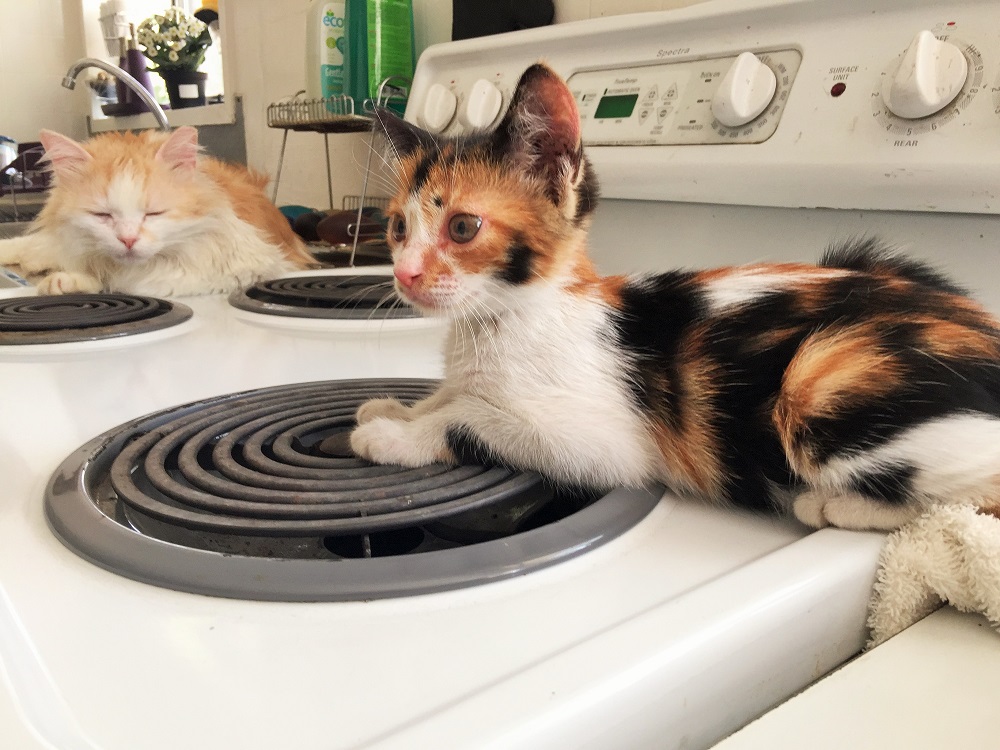 「はじめまして！」っていうか寝てますね、先輩．．．