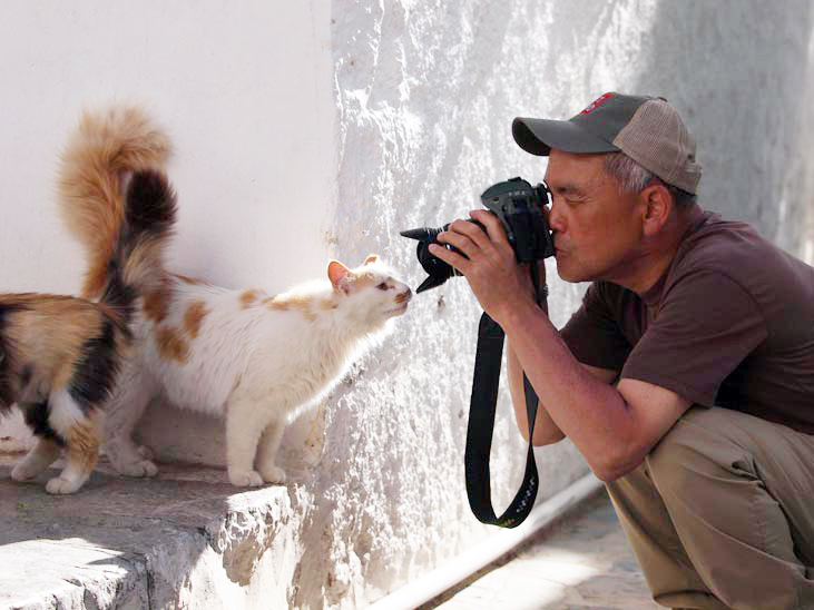 「世界のねこみち」から