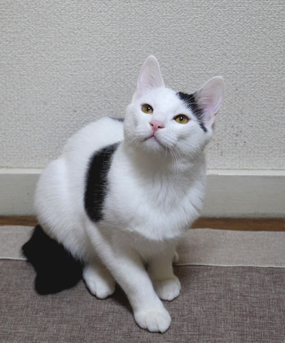 「立派になったでしょ。でもまだ子供だい」