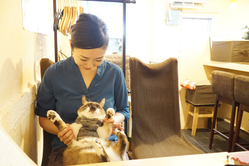 取材中もすかさず甘えに来る