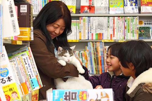 うめを抱っこする富田さんに、少女たちも「さわらせて！」