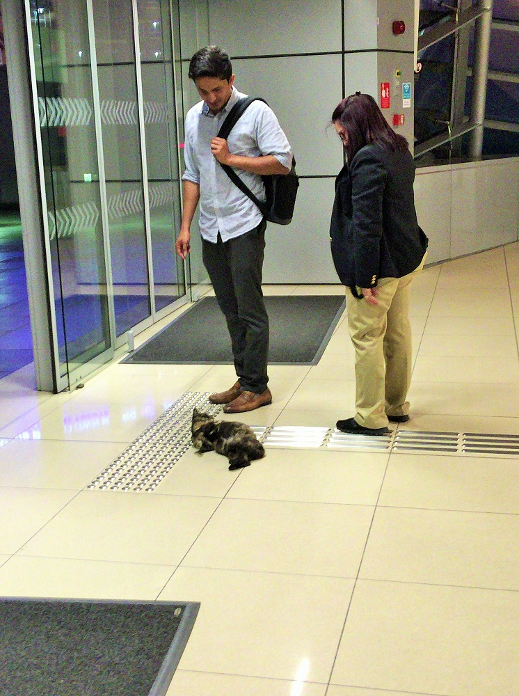 出口付近が特に快適のようです