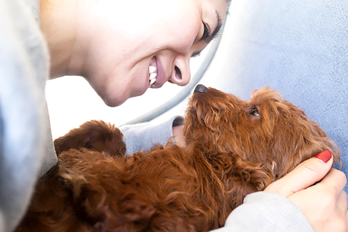 大日方さんとヴィヴィアン