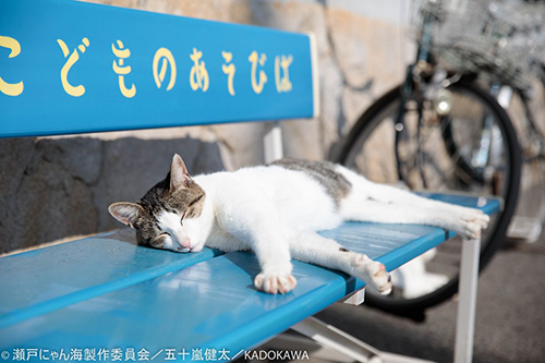 撮影・五十嵐健太