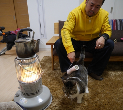 コロコロでむだ毛とり