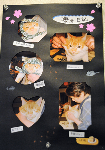 常連客が撮影した海ちゃんの写真