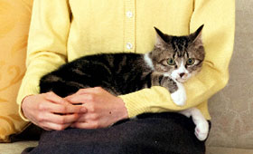 あいこ様 愛子さま15歳 動物病院から譲り受けた子猫のセブンを初公開 | 「犬や