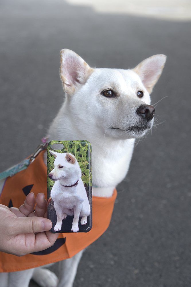 愛犬の写真でスマホケースできちゃいます！