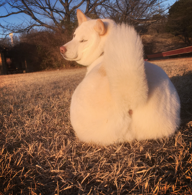 お尻がチャームポイントだと思うの。