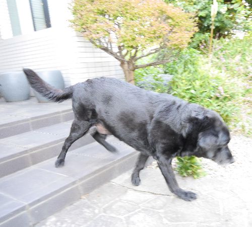 階段は苦手だから、ゆっくりね