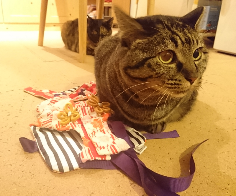 チェック完了！