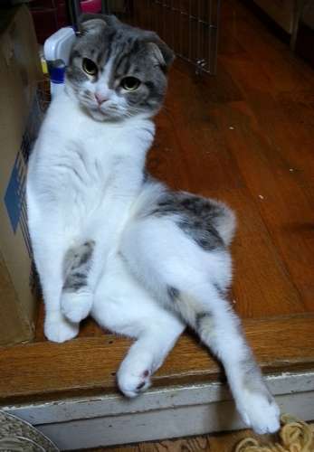 すっかり体重も増え、貫禄すら感じる冬子＝２０１６年１月