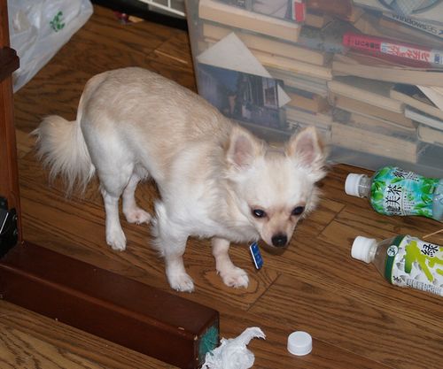 独身時代の直之さんの部屋で暮らした頃のココ
