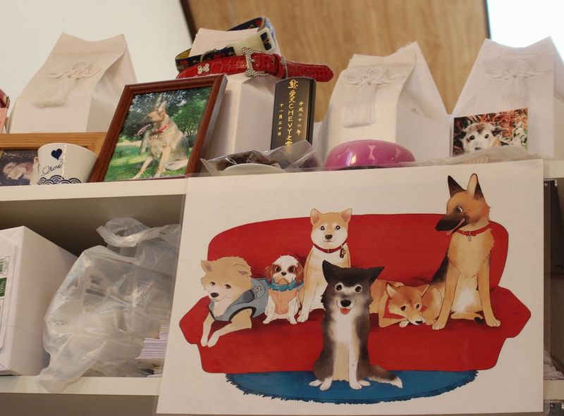 最期まで面倒を見た保護動物の遺骨や遺影