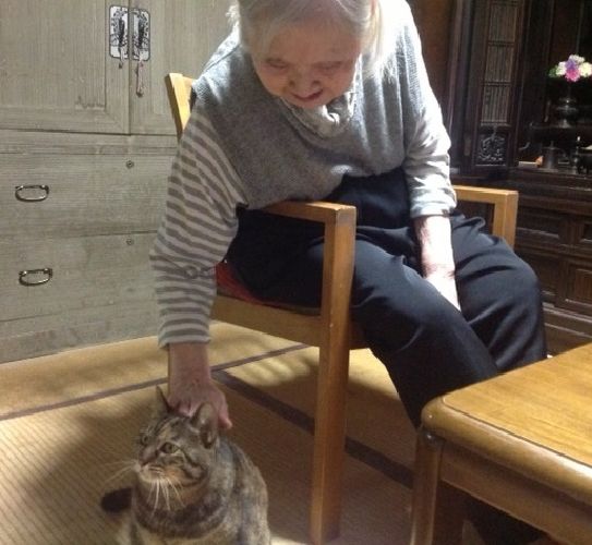 気が付くとミーコはいつもお母さんの傍に寄り添って（２０１３年）