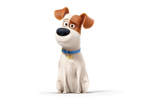 主人公のマックスの日本語吹き替え版キャストはバナナマン設楽統　©Universal Studios.