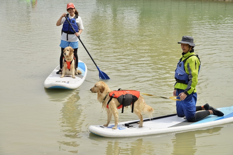 夏には秋川湖でワンちゃんと一緒にカヌー・カヤックも楽しめます
