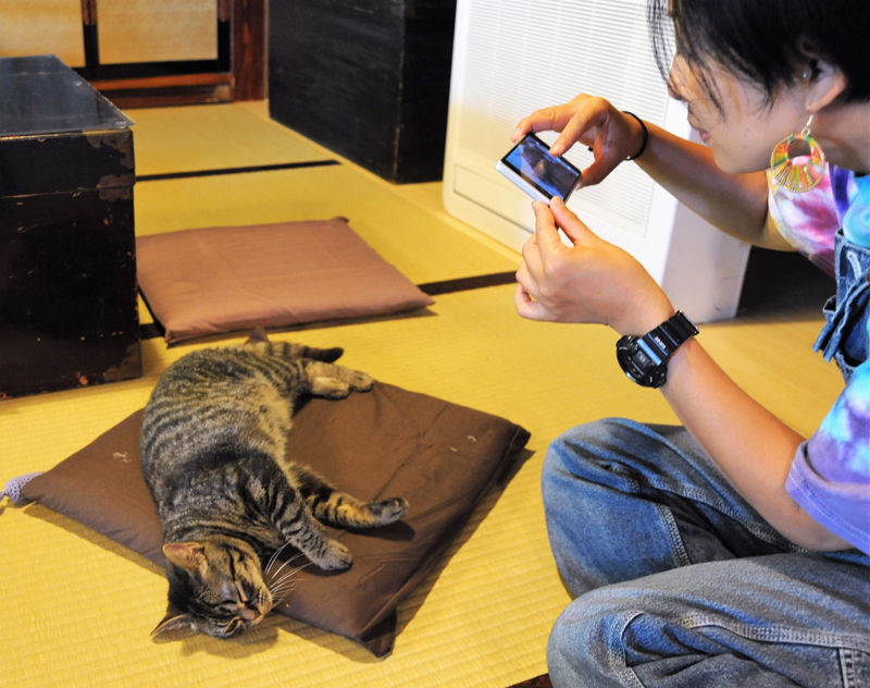 お客さんの前でポーズを取る「ちびこ」