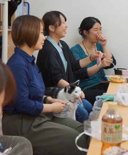 ランチタイムは猫も一緒で和気あいあい