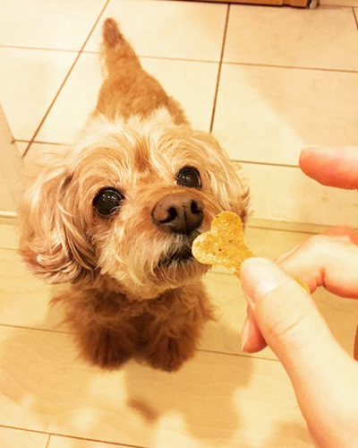 焼き上がったら、お楽しみの味見タイム