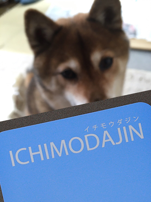 すごいのがやってきたな