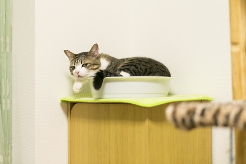 丁度良いサイズでピッタリジャストフィット