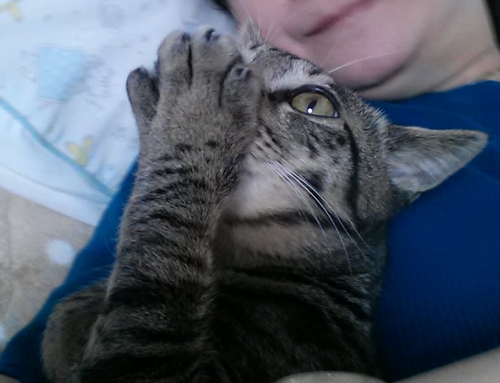 指が太くなってきた！「生後半年頃）