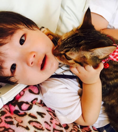 いつも、にゃーにゃと一緒