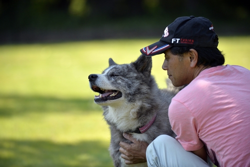 気持ちよさそうな秋田犬と赤間さん（太田康介撮影）
