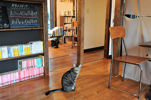 安達さんの好きな書籍が並ぶ本棚の前に座るうなぎ