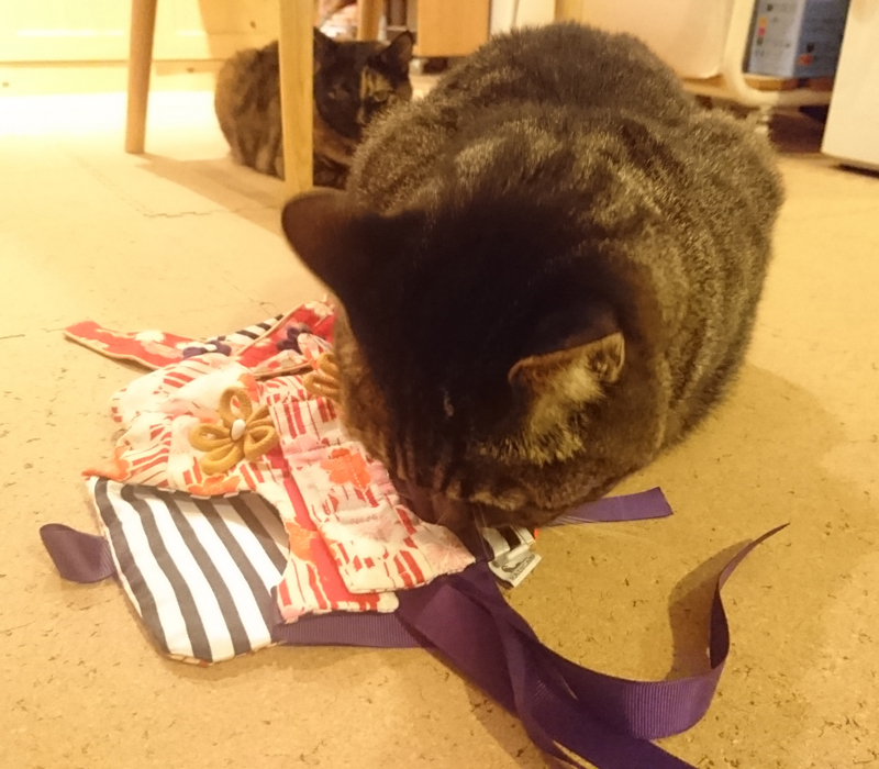 クンクン・・・