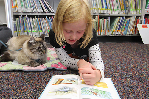 絵本を読む子どもの声に耳を傾けるタイ