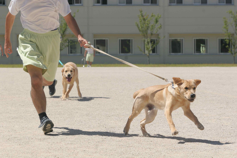 運動時間には思いきり運動場を走り回る（ｃ）大塚敦子