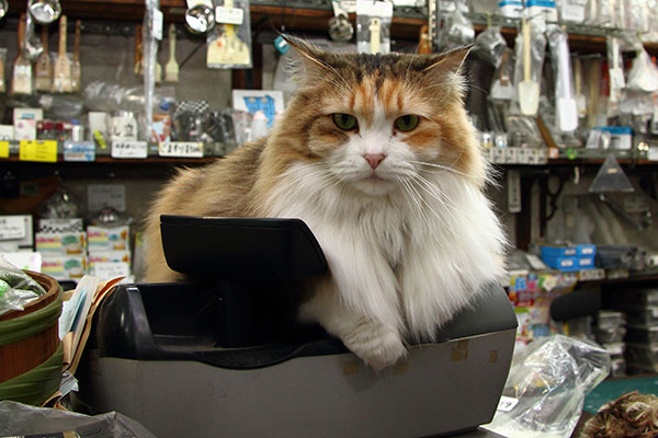 レジスターからはみ出てる？ レジ番担当のマイ