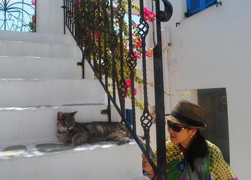 パロスは、触られたら嬉しそうで、カメラを向けられても動じない猫が多い印象です。そして私の友人もまた、嬉しそうに寄ってきた猫にレンズに鼻水をつけられつつも、果敢にたくさん撮影していました