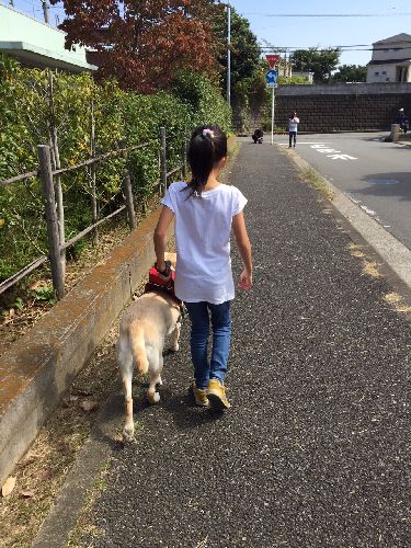 梨花子ちゃんと歩く後ろ姿もさまになっています
