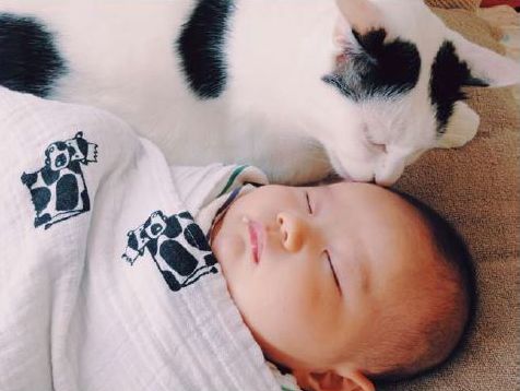 「ザクロとたい」から　（ぴあ／もりもとりえ）