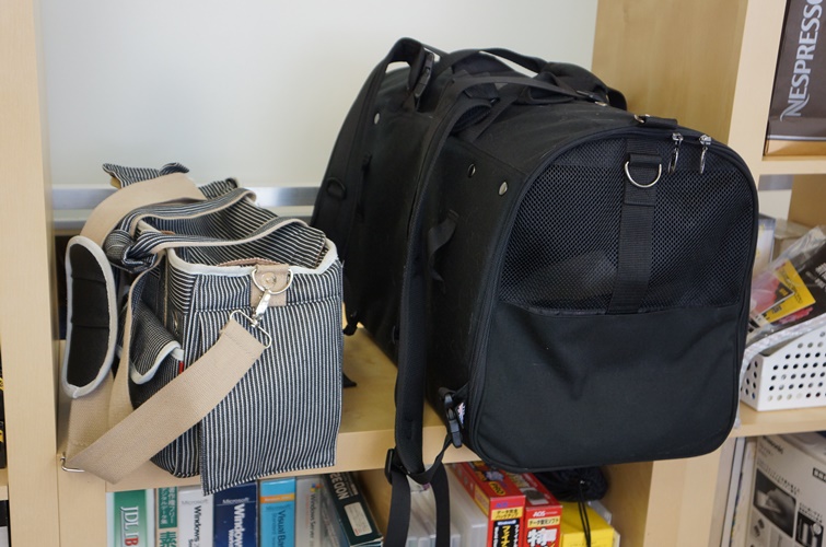 社員が猫を入れてくる「キャリーバッグ」がそこかしこに置かれている