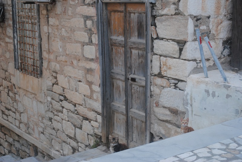 これ以上近づいたら僕らは逃げますっ