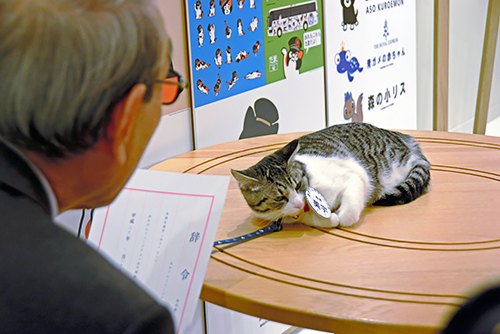 小嶋光信代表から辞令を受ける美宇＝岡山市中区東山２丁目