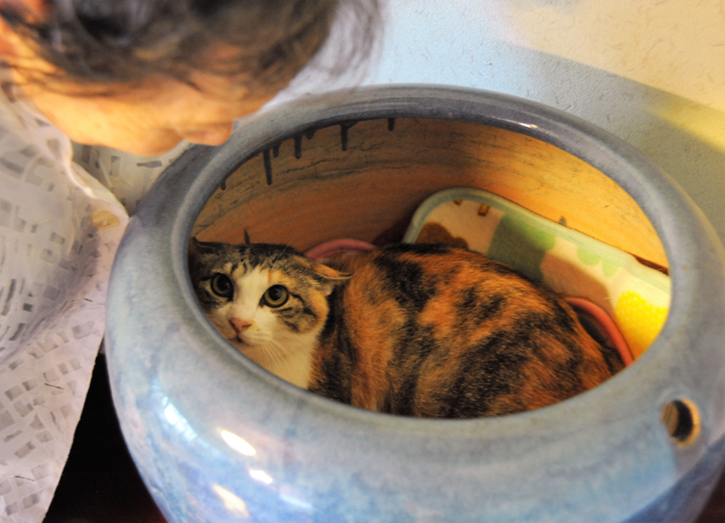 「おはぎ」は火鉢の中に入ってなかなか出てこなかった