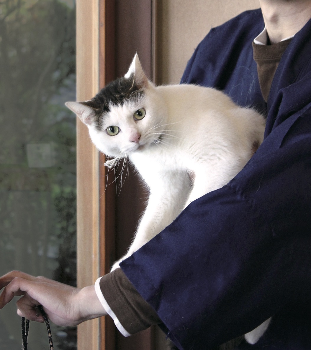 箱根仙石原温泉「みたけ」玉之丞　　写真＝伴田良輔