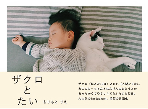 「ザクロとたい」（ぴあ／もりもとりえ）