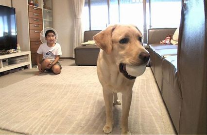 ボールで呼び戻しの練習