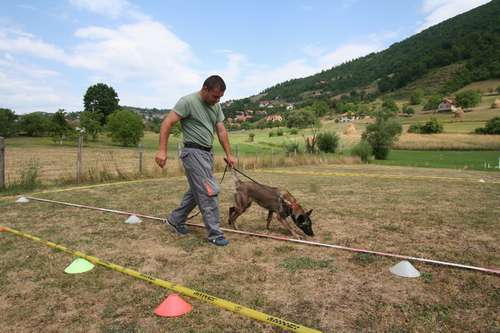 地雷探知の訓練（ｃ）大塚敦子