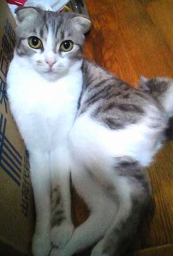 すっかり「ツンデレ」で清志さんを困らせている、最近の冬子＝２０１６年７月