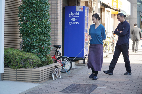 今はすっかり健康体で、散歩も大好き。「猫と思われなくて、狸と間違えられたことも」と敦子さん